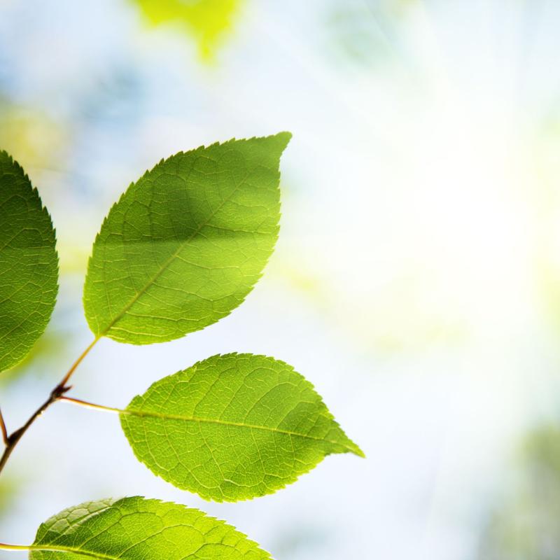 Diskusija "ESG līkloči - kā tos izprast un neiekrist "zaļmuldēšanā""