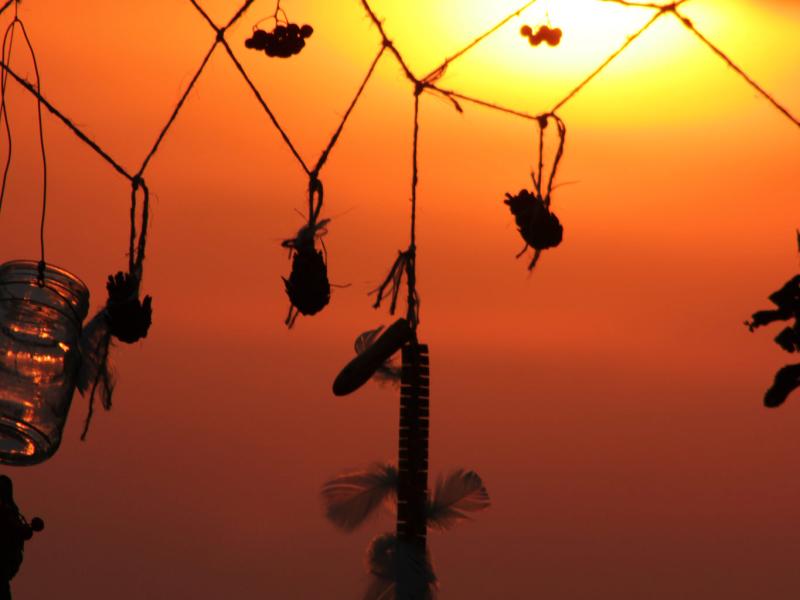 Saruna - diskusija "Cik maksā brīvprātība?"