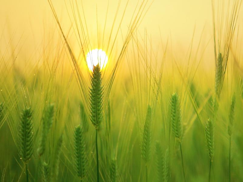 Diskusija “Futūrisms lauksaimniecībā – kurā virzienā dodamies?”