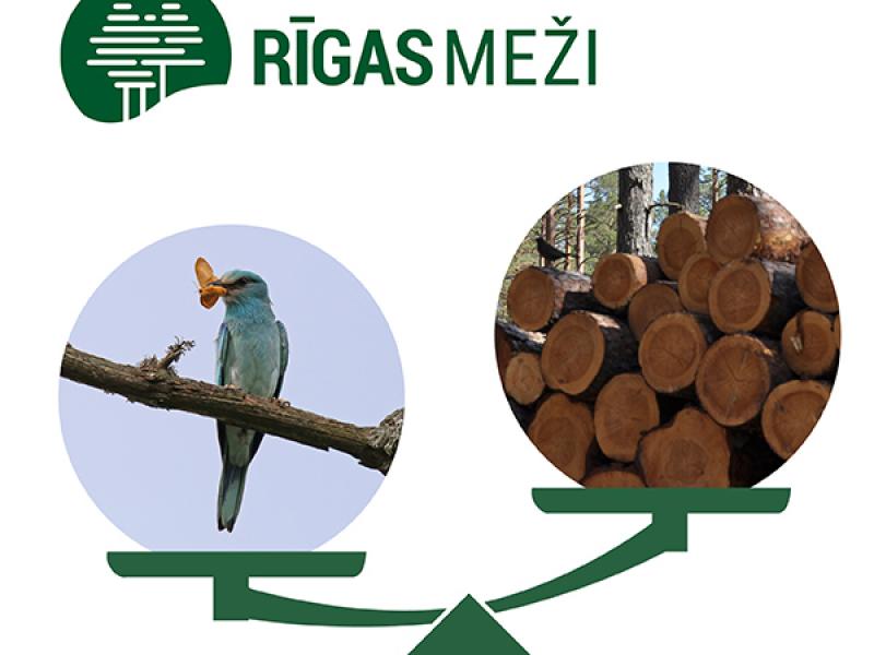 Diskusija “Mežā – nevis cērt un valdi, bet rūpējies un kop!”