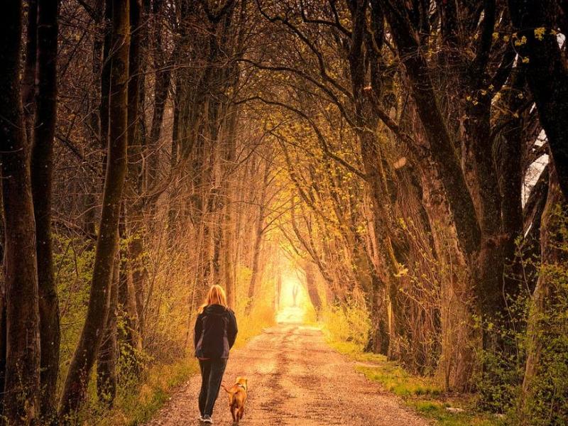 Pastaiga uz Cēsu dzīvnieku patversmi "Beelievers četrkājainie draugi"