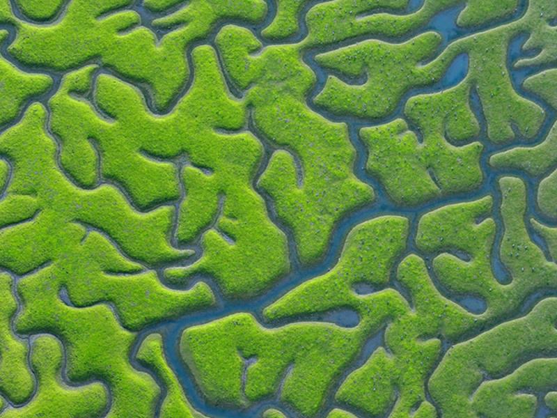 Diskusija "Vide un tās tiesības. Kāds sakars?"