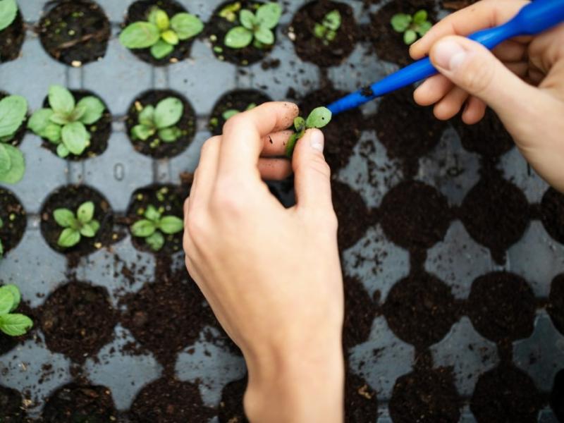 Saruna "Naudas jauda – vai, gudri ieguldot kabatas naudu, var nopelnīt miljonu?"