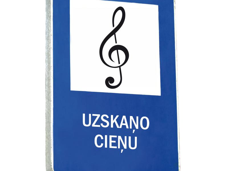 Saruna "Uzskaņo cieņu": Agnese Korvstiļeva par romu kopienas dzīvi Latvijā