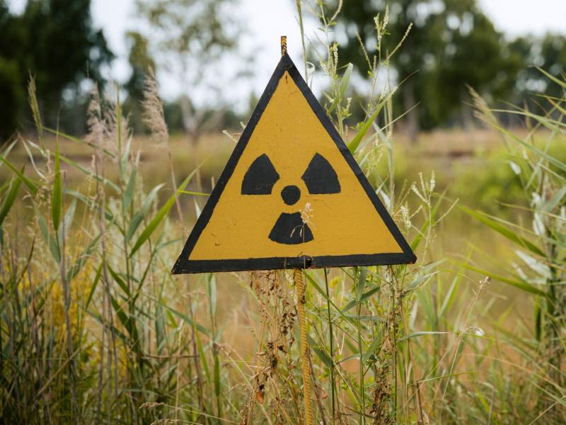 Diskusija "Kodolieroču robežšķirtne: ceļā uz drošāku nākotni"