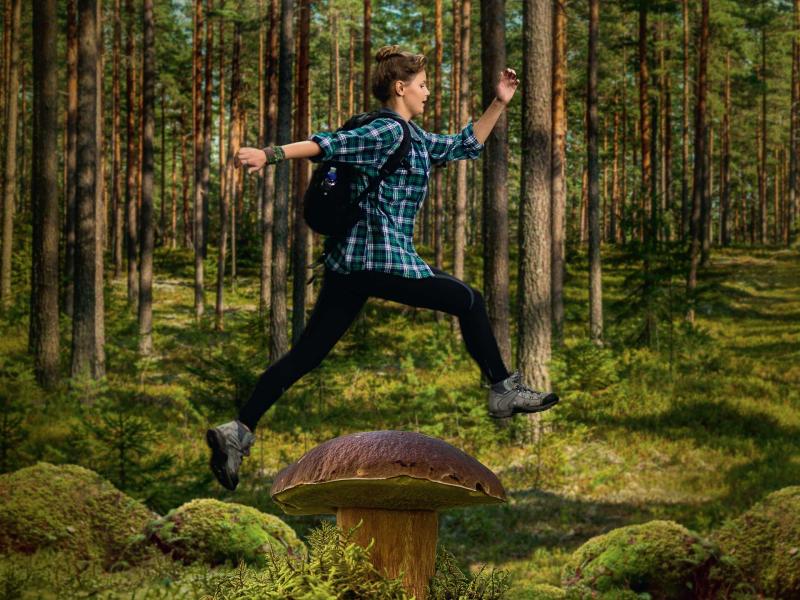 Vides spēle "Meža dēkainis"