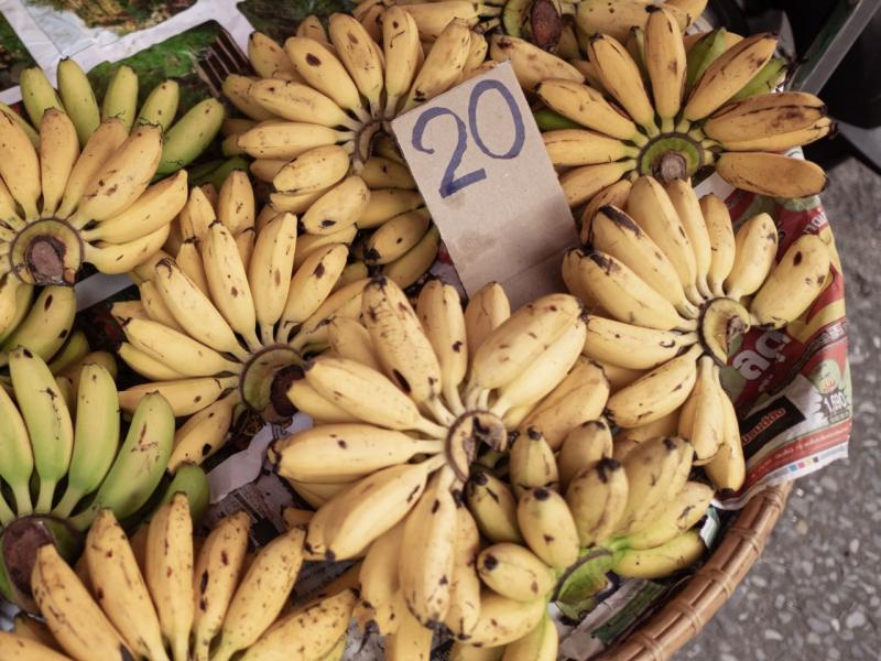 Diskusija "Cik maksā daba?"