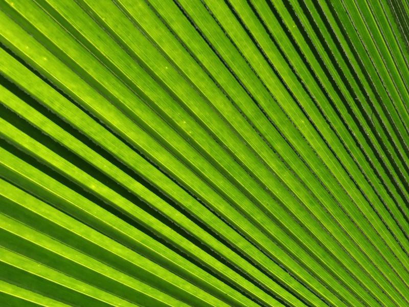 Diskusija "Ilgtspēja un tukšmuldēšana. Vai reāla ilgtermiņa stratēģija vispār ir iespējama?"