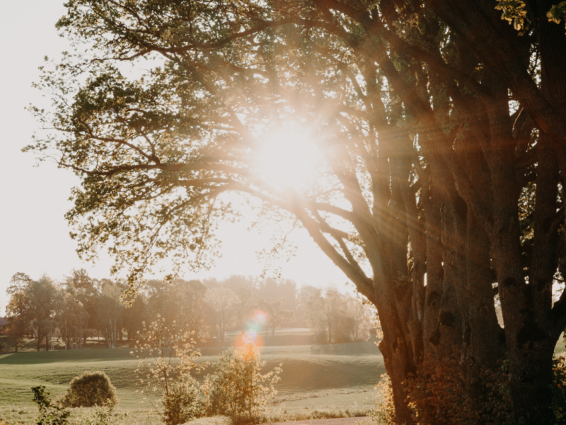 Saruna ar latvisko tradīciju elementiem "Uz citu sauli"