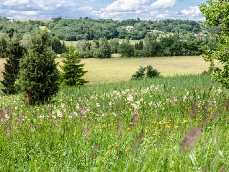 Diskusija "Kāpēc daba mums ir nepieciešama?"
