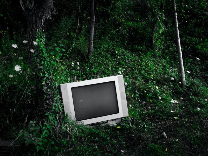 Diskusija “Vides ilgtspējas cena – cik dārgi maksājam par noziedzīgiem nodarījumiem, kas vērsti pret vidi?"