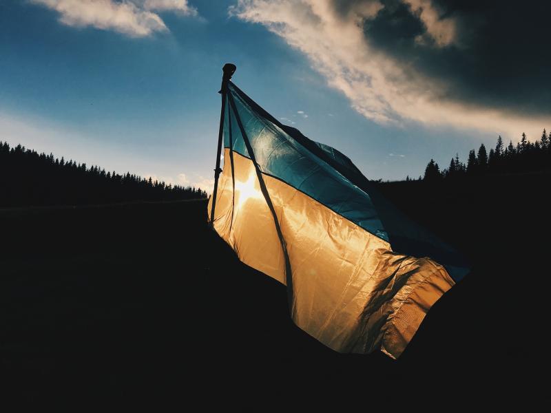 Saruna "Ukrainas bēgļa psiholoģiskais portrets"