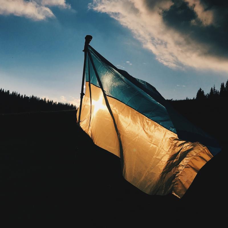 Saruna "Ukrainas bēgļa psiholoģiskais portrets"