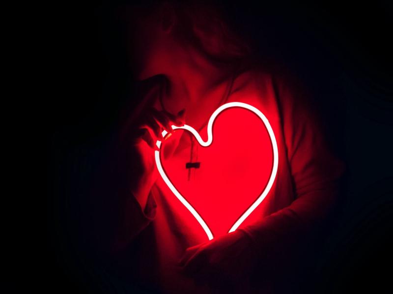 Lekcija "Brīvprātīgo dvēseles higiēna"