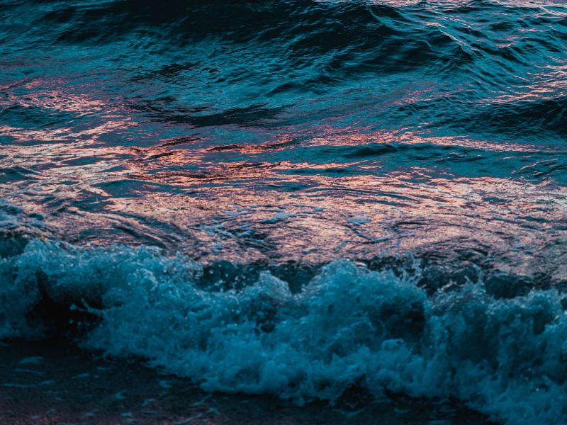 Diskusija ""Spoku tīkli": ko sevī slēpj Baltijas jūra?"