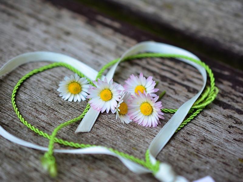 Diskusija "Kur rodas vardarbība?"