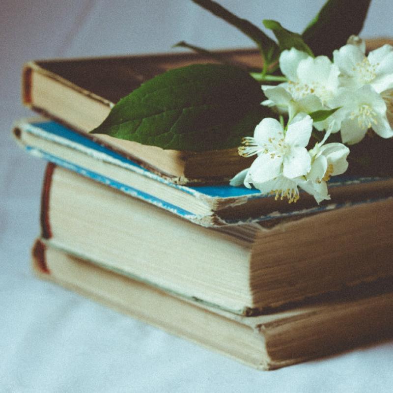 Lasu - tātad domāju. Literatūra kā pamats sarunai par sevi un pasauli