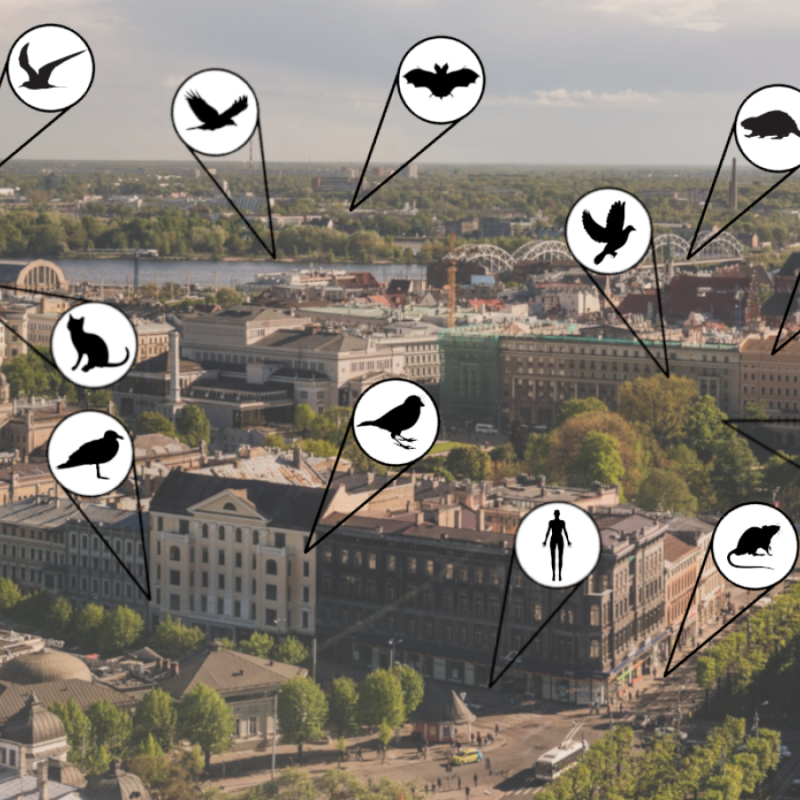 Diskusija "Daudzsugu pilsēta - kas tas ir un kam to vajag?"