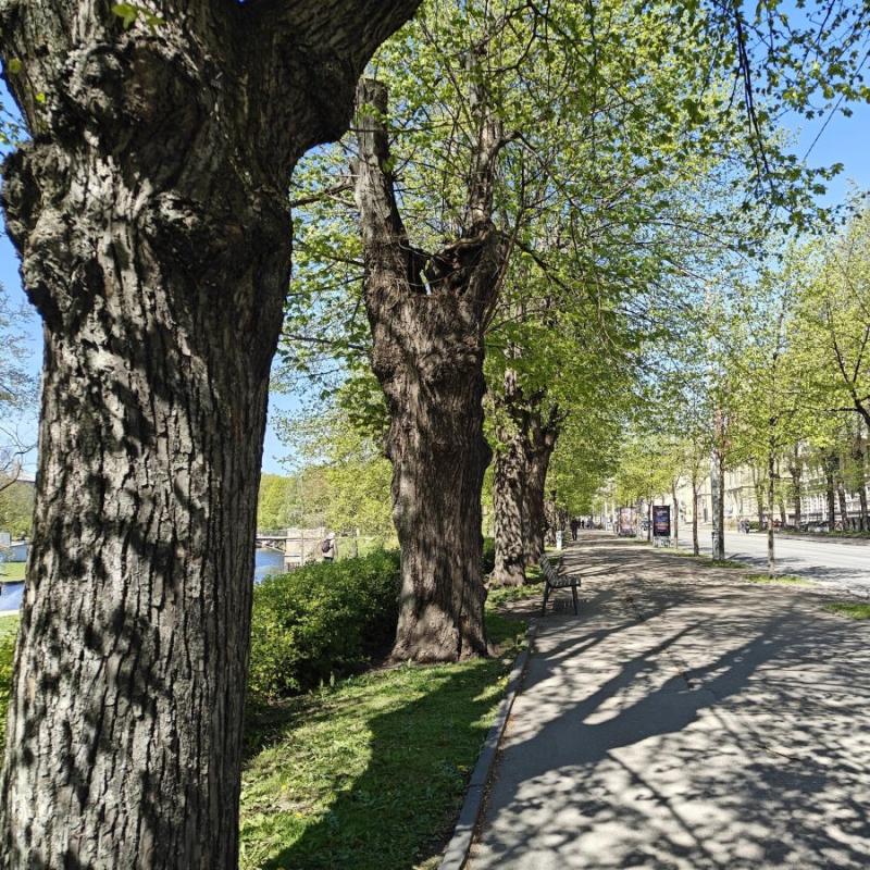 Diskusija "Koks pilsētā - greznība vai kritiskā infrastruktūra?"