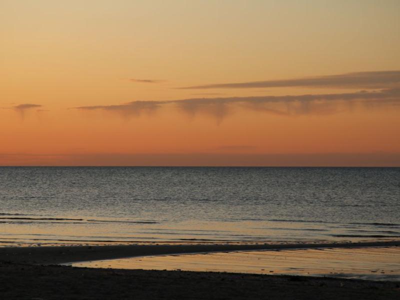 Diskusiju panelis "Jaunieši un klimata skumjas: Kā atvēsināt prātu un dzīvot tālāk?"