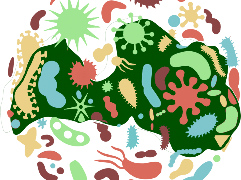 Diskusija "Latvijas Mikrobioma projekts — vai esam tam gatavi?"