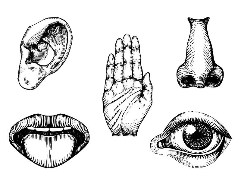 Diskusija "Nevis Universitāte pilsētā, bet pilsēta kā Universitāte"