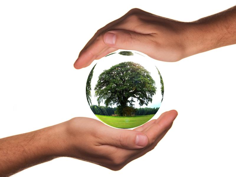 Diskusija "Atbildība cilvēka dzīvē un koučinga loma tās stiprināšanā"