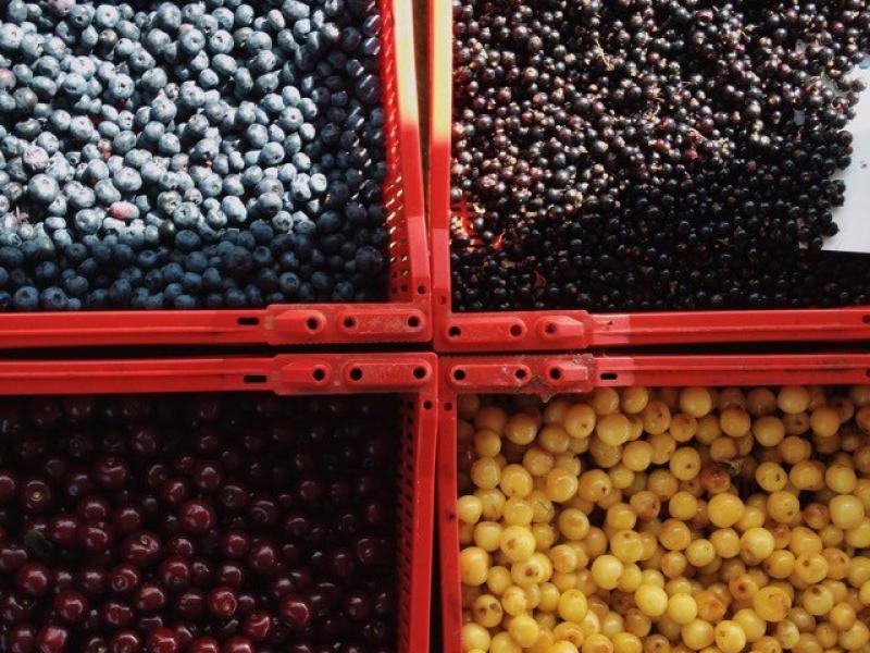 Interaktīva diskusija “Reliģija un izglītība: pretnostatījums vai savstarpējs papildinājums?”