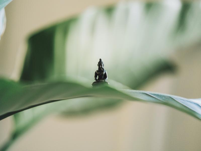 Diskusija "Zen budisms. Meditācija"