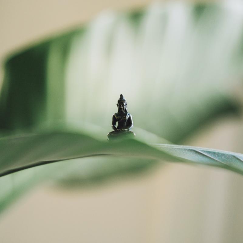 Diskusija "Zen budisms. Meditācija"