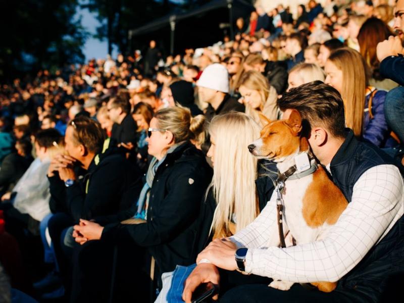 Pārpildīts brīvdabas pasākums, kurā cilvēki cieši sēž kopā tribīnēs. Vīrietis baltā kreklā tur rokās mierīgu brūni baltu suni. Gaišs, dzīvespriecīgs noskaņojums.