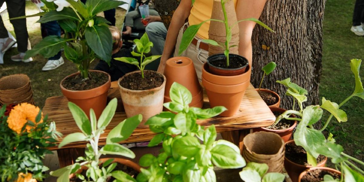 Cilvēks dzeltenā kreklā stāv pie galda ar dažādiem podos audzētiem augiem un puķēm āra. Aina ir dinamiska un dzīvespriecīga.