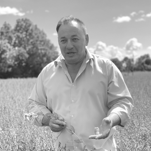 Aldis Ločmelis