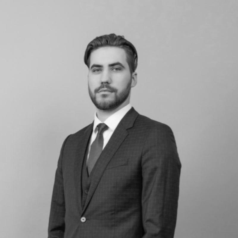 Dāvis Mārtiņš Daugavietis