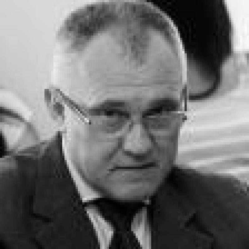 Valdis Voins