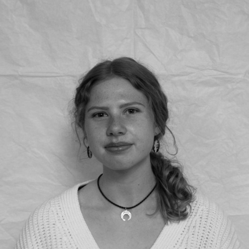 Ance Zeidaka