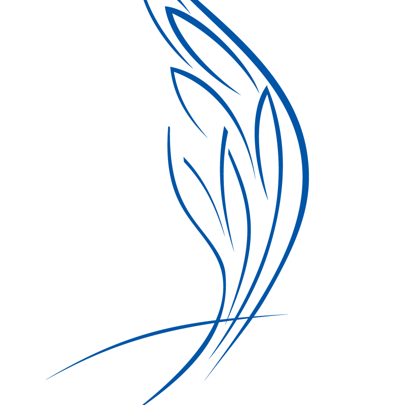 Onkoloģisko pacientu atbalsta biedrība „Dzīvības koks”