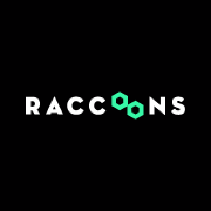 The Raccoons