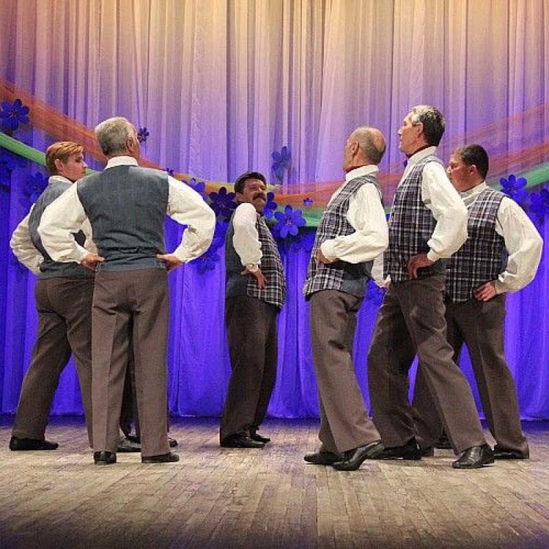 Gulbenes novada pensionāru biedrība “Atspulgs 5”