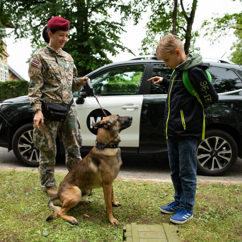 Pasākums "Reps, roboti un rējieni"
