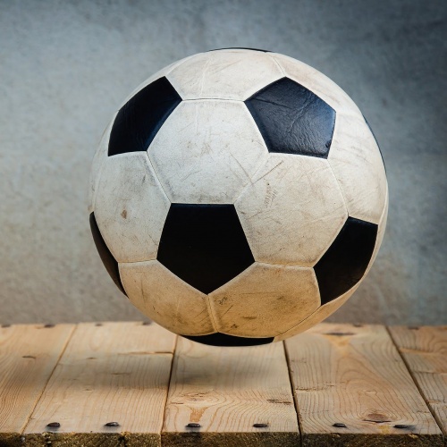 Saruna "Sports un drosme"