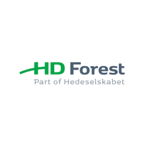 HD Forest