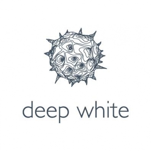 Komunikācijas vadības aģentūra Deep White - logo